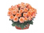 Luxury Elegant - 24 Stems Basket